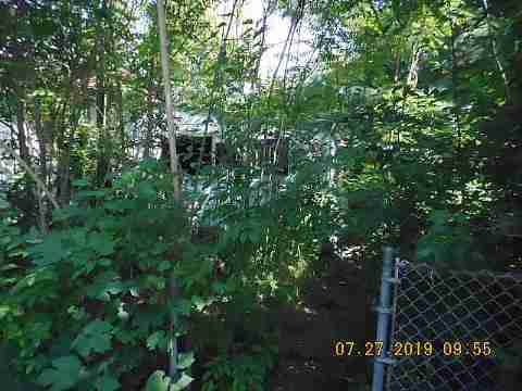 16202 Lamphere (6)_m.jpg